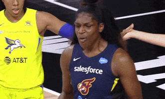 No Way Basketball GIF by Indiana Fever