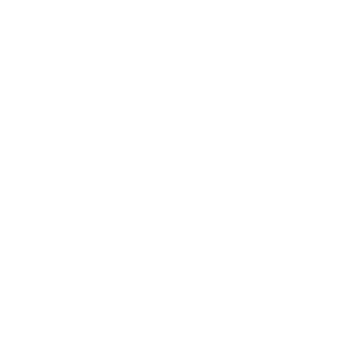 Brasilera Sticker by DVICIO