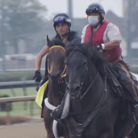 Churchill Downs Horse GIF by Kentucky Derby