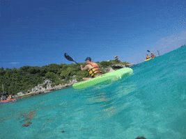 isla mujeres kayak GIF by Dolphin Discovery
