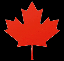 Maple Leaf Canada GIF by Tim Hortons UK & IE
