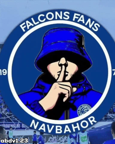 Falcons GIF