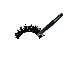 Xiomara Beauty Lashes Sticker