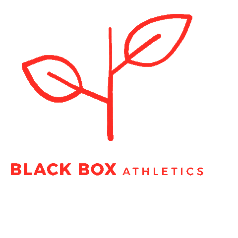 Cologne Bbxa Sticker by Black Box Athletics