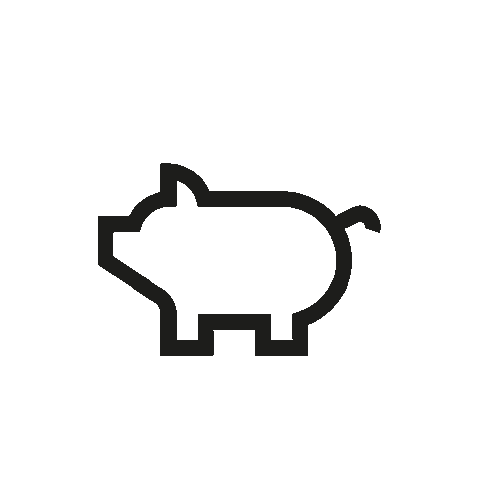 Pig Sticker