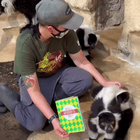 Zookeeper Surprises Lemur With Father's Day Card