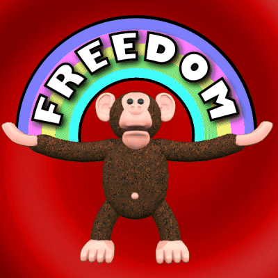 Monkey Be Free GIF