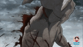 primeshark  GIF