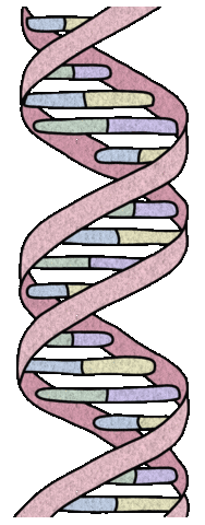 Hospital Dna Sticker