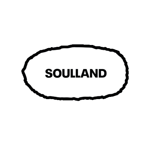 Soulland Sticker by POOL