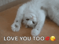I Love You More Gif By Memecandy Find Share On Giphy