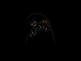 Iloverumskedi Kater Schwarzerkater Beckum Karneval GIF