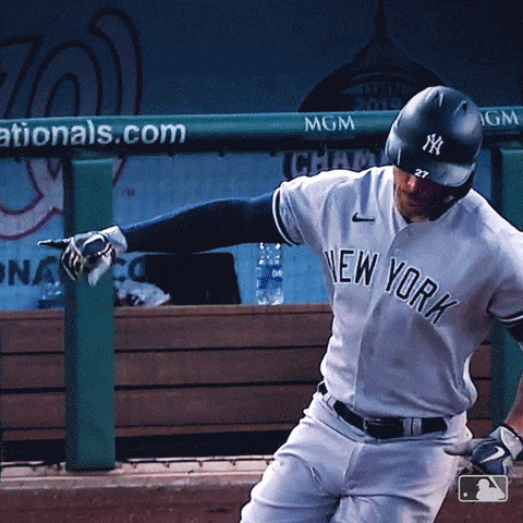New York Yankees Yankees GIF - New York Yankees Yankees Yankees