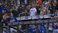 Trending GIF sports sport celebration baseball mlb mets new york mets  alonso nym walkoff ny mets pete alonso hr derby alonso m…