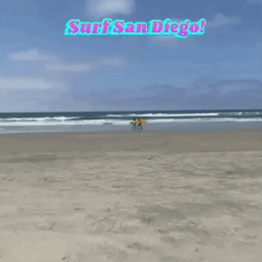 transgreaser water beach ocean surf GIF