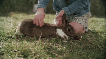 spring fever bunny GIF by Hallmark Channel