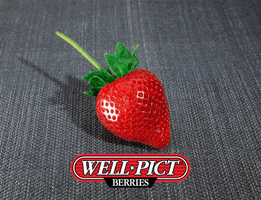 Well Pict Berries GIF