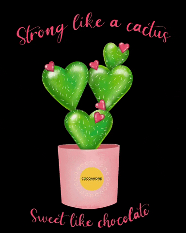 Heart Cactus GIF by CocoAndre Chocolatier