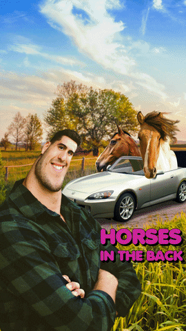 Iphone Horses GIF