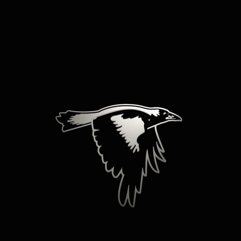 Flying Collingwood Magpies GIF by CollingwoodFC