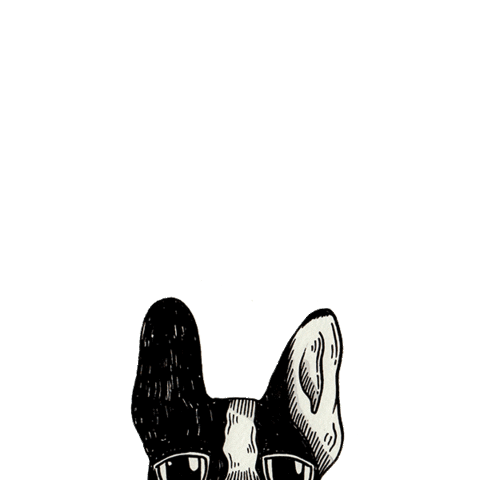 Space Work Sticker by Casa Andina Hoteles