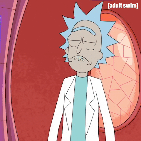 Giphy - Season 2 Episode 3 GIF by Rick and Morty