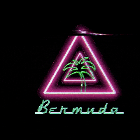 BermudaPEC 90s 80s vhs neon GIF