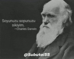 Subutai55 GIF