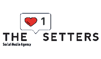 Logo Thesetterslogo Sticker by The Setters Agency