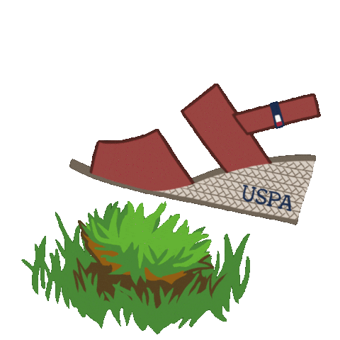U.S. Polo Assn. Sticker