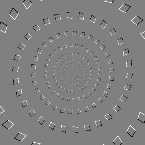 Akiyoshi Kitaoka Illusion GIF by Feliks Tomasz Konczakowski
