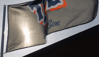 mets t7l GIF by The 7 Line