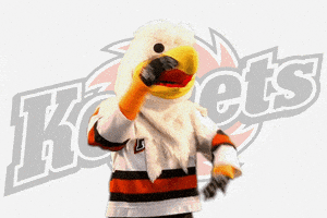 hockey disagree GIF by Fort Wayne Komets