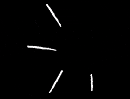 Svetlana Kohlmeier Fotografie GIF