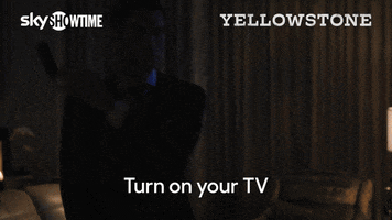 Look Yellowstone GIF by SkyShowtime