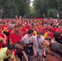 World Cup Football GIF