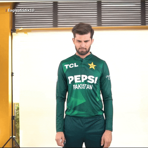 Brisbane Heat Cricket GIF