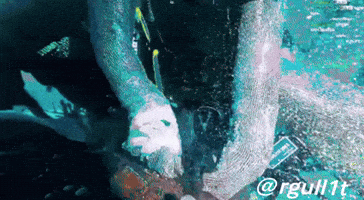 Morgan Freeman Truth GIF