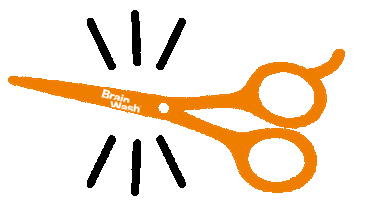 BrainWash Sticker