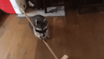 Snack Chores animated GIF