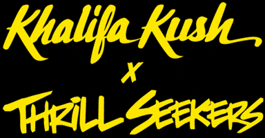 Kk Wiz GIF by Thrill Seekers
