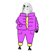 Animated Sticker