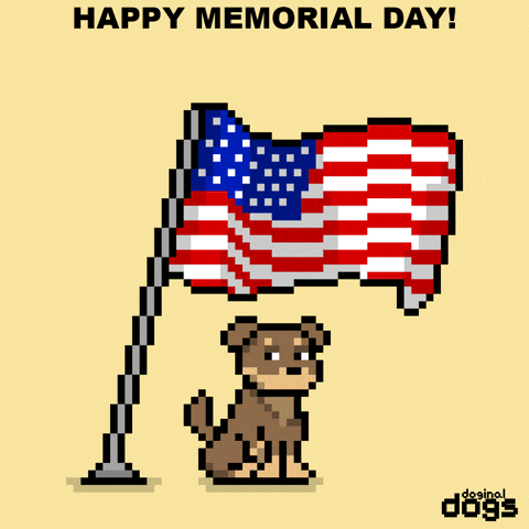 Excited Do It GIF by Doginal Dogs