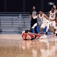 Trae-young-game-winner GIFs - Get the best GIF on GIPHY