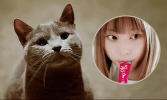 Haerin GIF