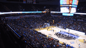 Basketball GIF by LoveSpringfield