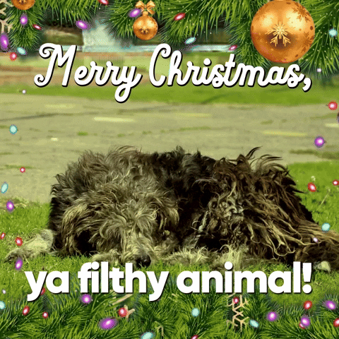 Merry Christmas Dog GIF by Sealed With A GIF