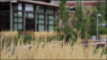 200.gif?cid=fc005b08b85810c2c7aae6c16163c670f77bba3044c42b99&rid=200.gif&ct=g