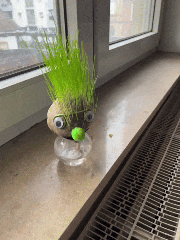 Grasidergraskopf GIF by Knisters