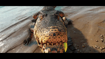GIF by Press Start Australia